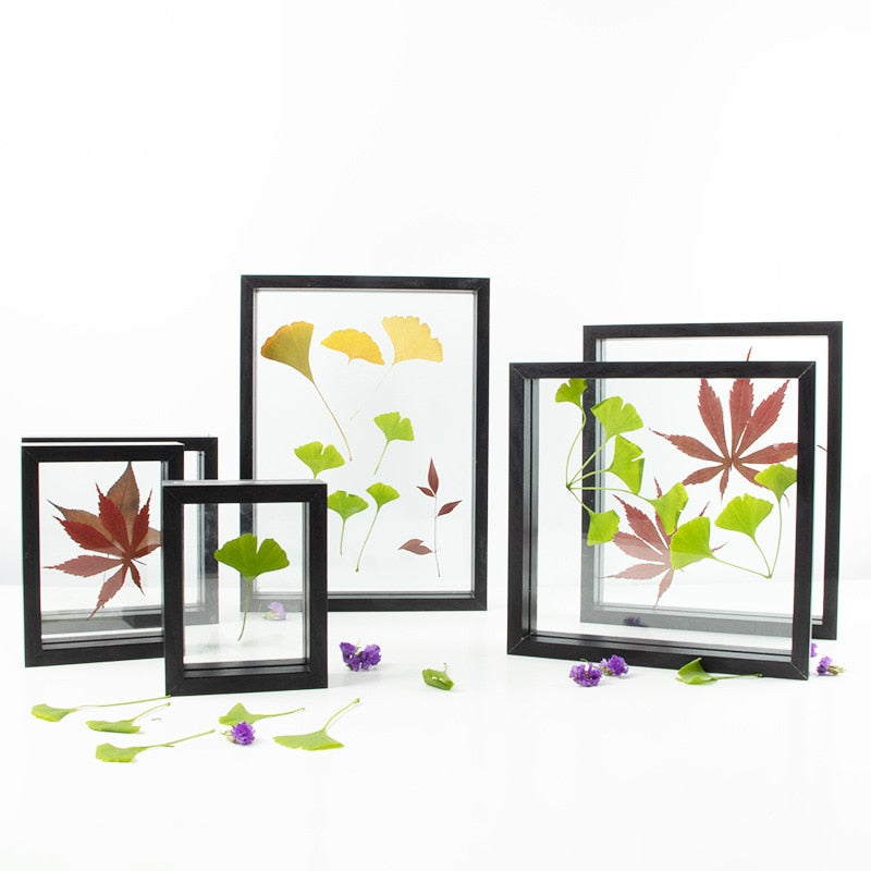 Virelia Double Frame – Elegant Frame for Pictures and Plants